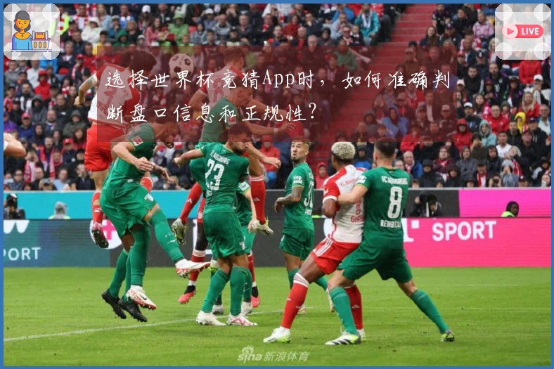 选择世界杯竞猜App时，如何准确判断盘口信息和正规性？