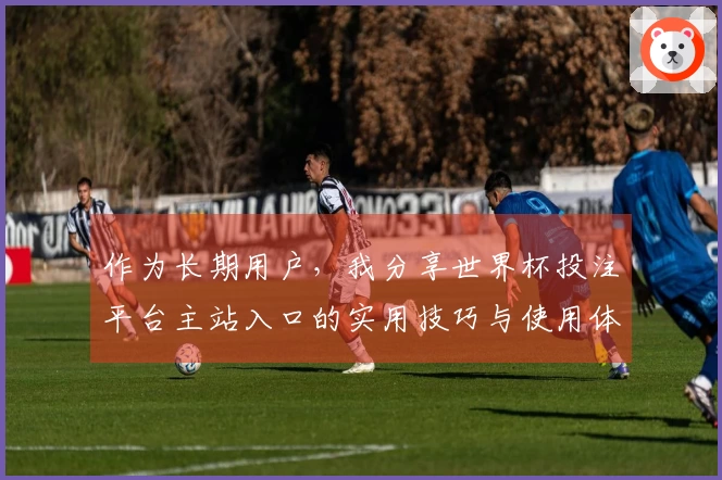 作为长期用户，我分享世界杯投注平台主站入口的实用技巧与使用体验