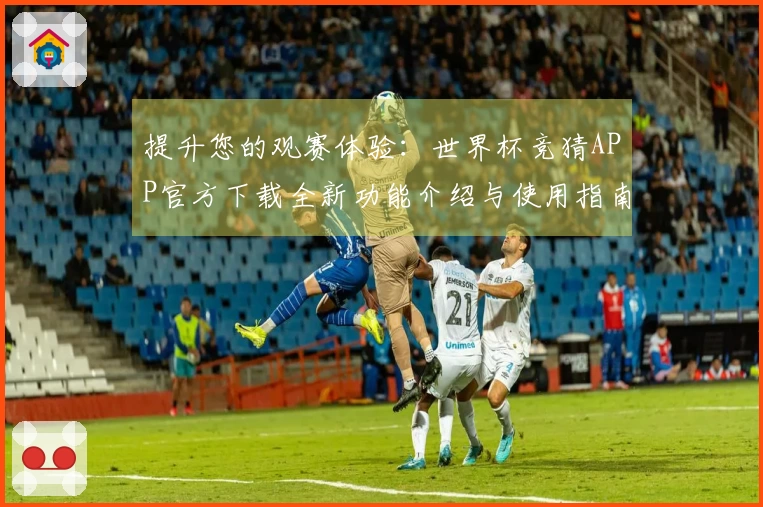 提升您的观赛体验：世界杯竞猜APP官方下载全新功能介绍与使用指南