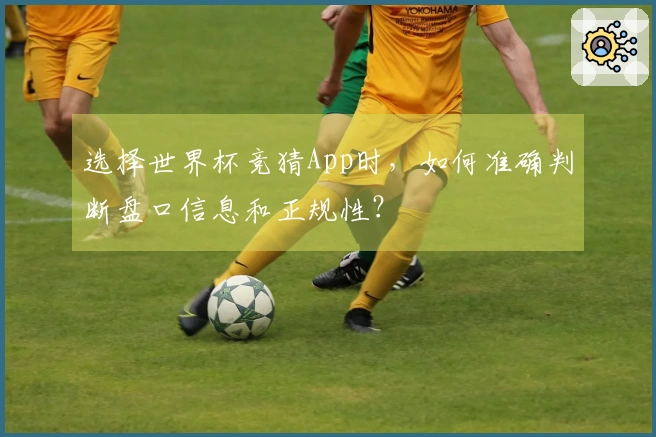 选择世界杯竞猜App时，如何准确判断盘口信息和正规性？